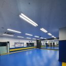 경희대 석사 삼성 태권도 이미지