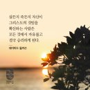 갈라디아서 5:1 – 5:12 진리에 순종할 때 참자유를 누립니다 / 새신자 이미지