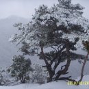 머리사랑 이미지