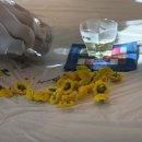 꽃차마이스터양성과정 이미지