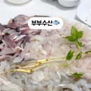 초장집1호