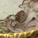 고리식당 이미지