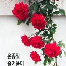 향기 - 강서구 과학산단2로20번길 14 | 향기