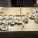 샤브남바완(남포직영점) 이미지