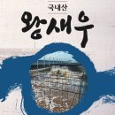 다솜수산