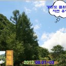 복주산자연휴양림 이미지