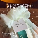 고이담아 | W03. 남자친구 부모님 첫인사 : 안양 과일바구니 "고이담아" 전날 예약하고 픽업한 후기
