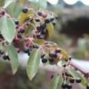 동향슈퍼 이미지