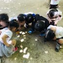 성환어린이집 이미지