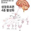 하이밸런스 운동센터 이미지