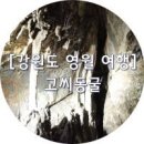 2019년8월20 강원도영월 김삿갓계곡,고씨동굴 산행공지 이미지
