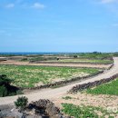 제주와요 이미지