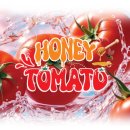 코리아엔제이 이미지