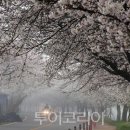 서면마을 이미지