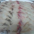 동해활어회센타 이미지