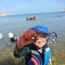 대계마을해변 이미지