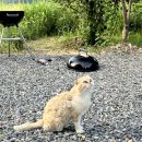 청호정펜션 이미지