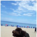 지경국민여가캠핑장 이미지