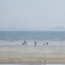 몽산포오토캠핑장 | 몽산포 청솔 오토캠핑장 바닷가 1열 카라반 캠핑 일몰이 멋진 곳.