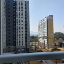 사파동151 이미지