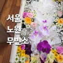 팔팔요양병원 | 서울 노원 무빈소장례 더조은요양병원장례식장 가족장 비용부터 절차까지