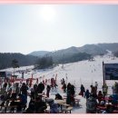 영동세계로 곶감 Daum카페