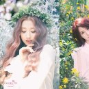 예인엔터테인먼트 이미지