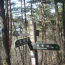 15년 03월 22일 충북 괴산의 칠보산과 쌍곡 구곡 이미지
