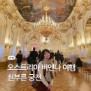 궁전차이나 | 오스트리아 비엔나 빈 쇤부른 궁전 예약 방법 티켓 종류 투어