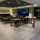 피그 앤 카우