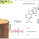 세이브트리엑스퍼트 이미지