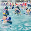 용인대 코리아 태권도 이미지