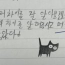 머리화자