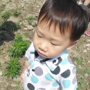 광덕자연어린이집 이미지