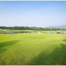 양지-3577 이미지