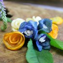 현암농장 이미지