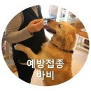 365 신원당 동물병원 이미지