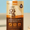 펫프로젝트 이미지