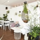 안정순환로172번길 이미지