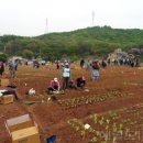 박성태농장 이미지