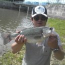 반송동244 이미지