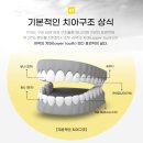 서울닥터유치과의원 이미지