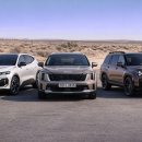 수원-1635 | 필랑트 쏘렌토 싼타페 하이브리드 비교 지금 사면 뭐가 유리할까 가격 연비 공간 차이 총정리