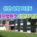 뮤지엄비치캠프 이미지