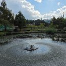 세븐일레븐 부산부전대동점 | 부산 북구 화명생태공원 튤립단지 플라워가든 철쭉 P1주차장 화명역 실시간 개화 후기 가볼만한 곳