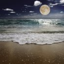 서강의원 이미지