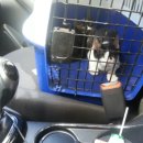 금강동물병원 이미지