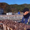 김천수산 이미지