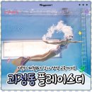 숨.라이프웨이브 | [플레이스디] 대전 프리다이빙, 머메이드 전문 강습까지 생각하게된 솔직후기
