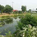 계양고등학교 앞 이미지